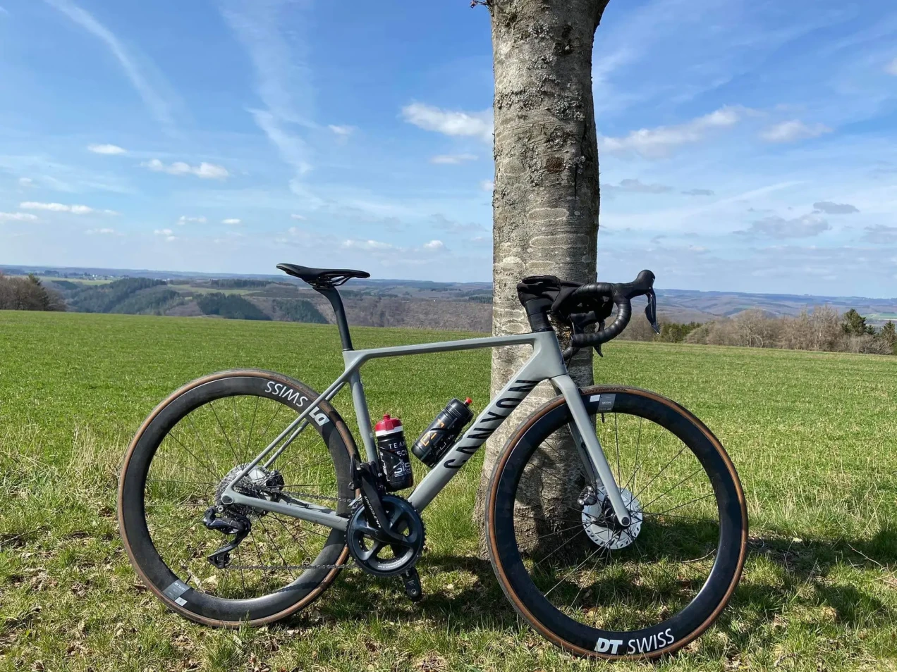 Canyon Ultimate CF SL 8 Disc Aero used in SM | buycycle