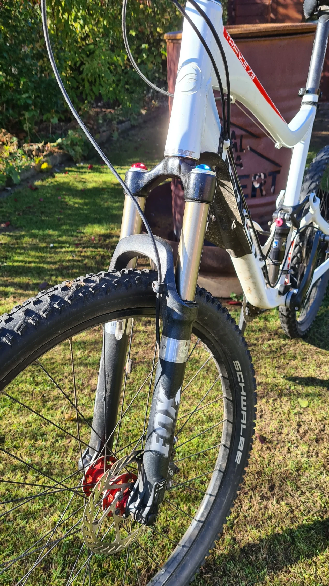 rack mounted child bike seat