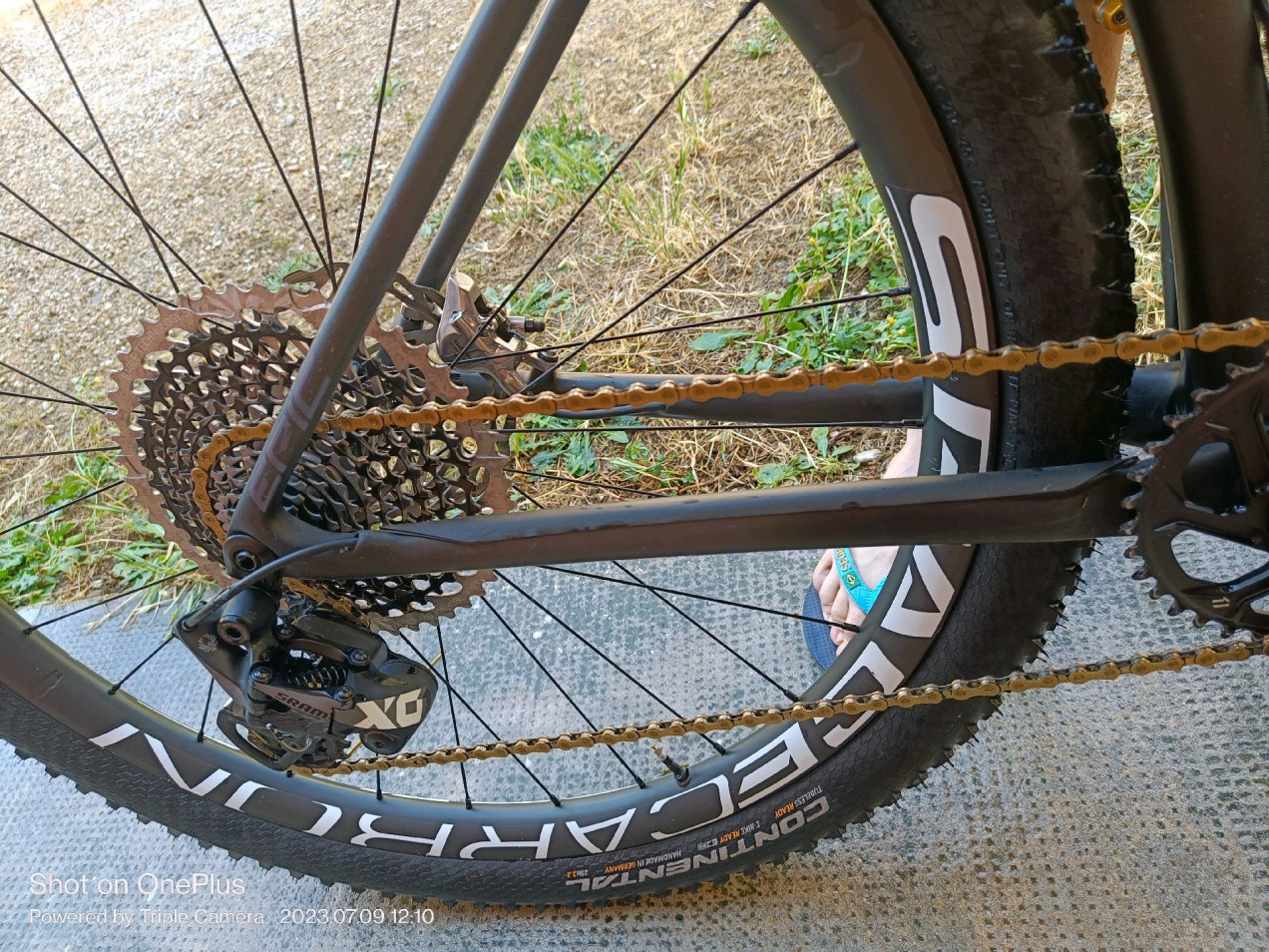 beach cruiser front forks