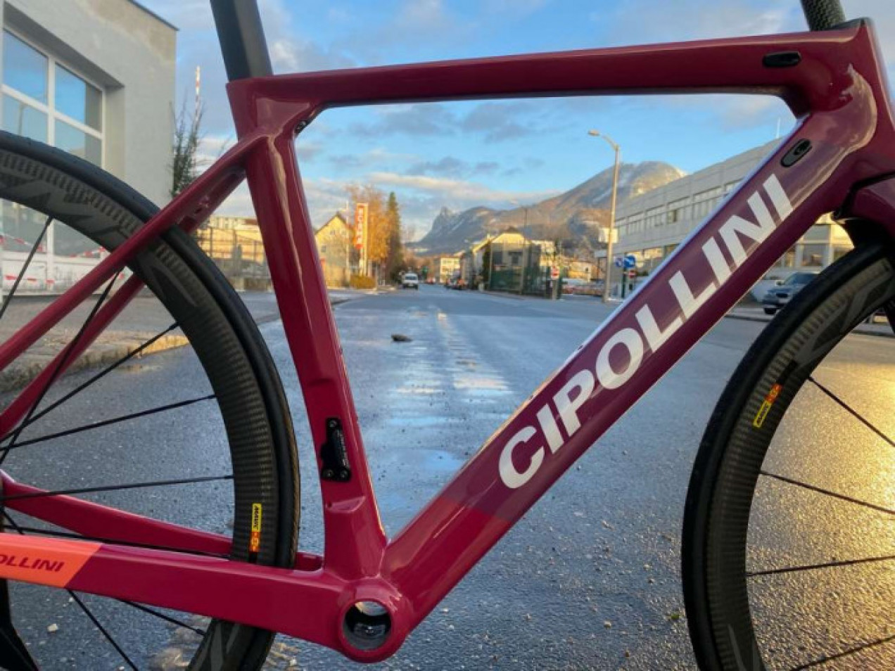 cipollini mcm frameset