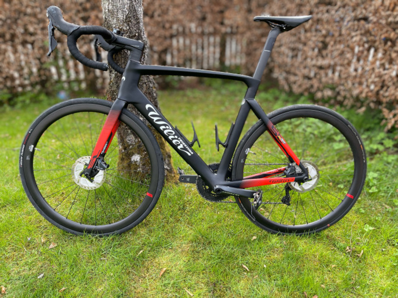 velo wilier cento 1