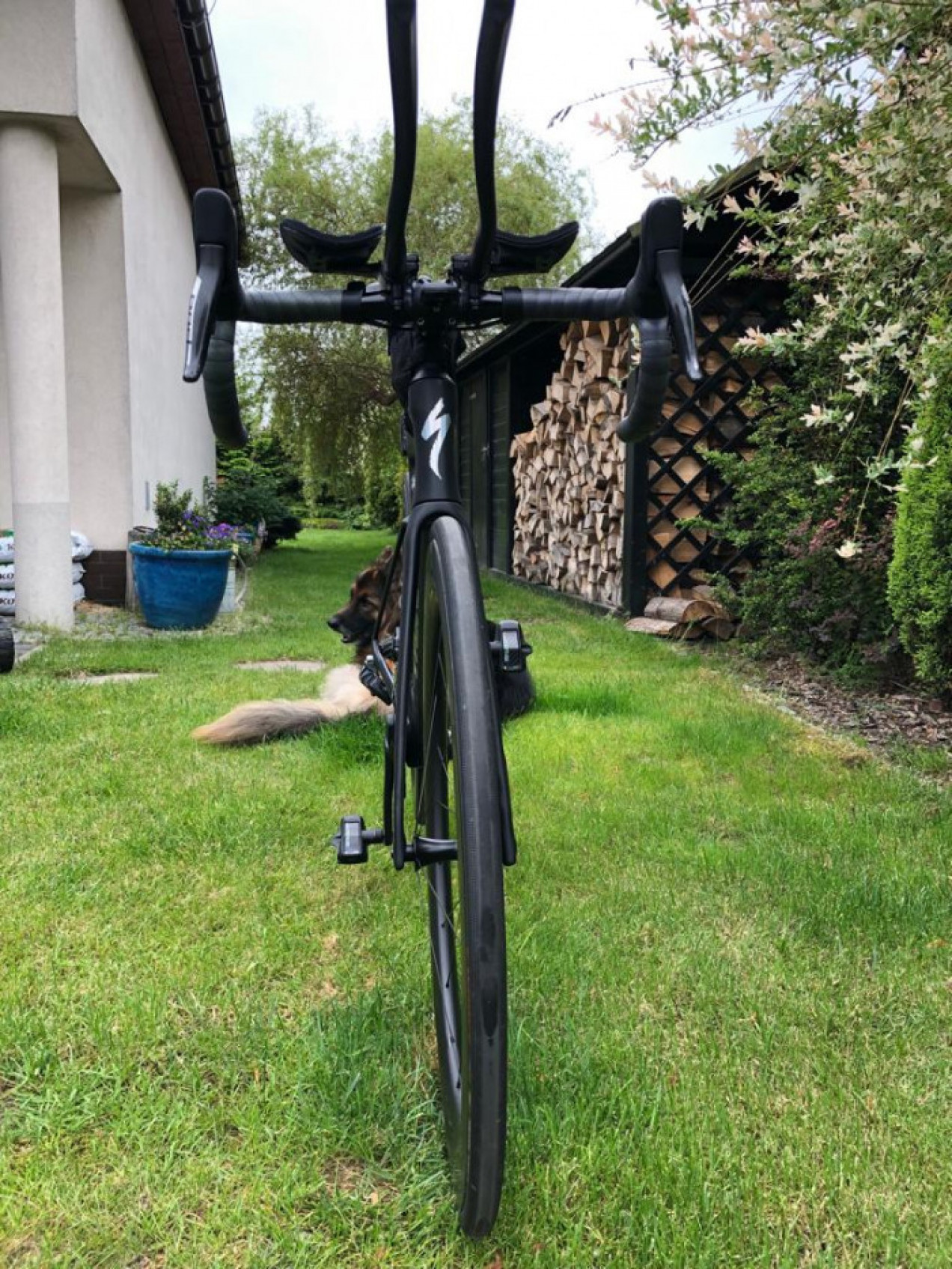 specialized venge frameset 2019