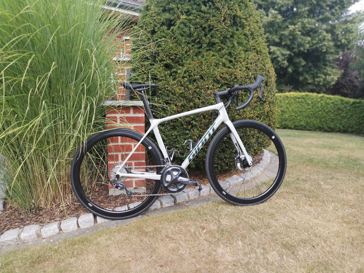 giant tcr advanced 1