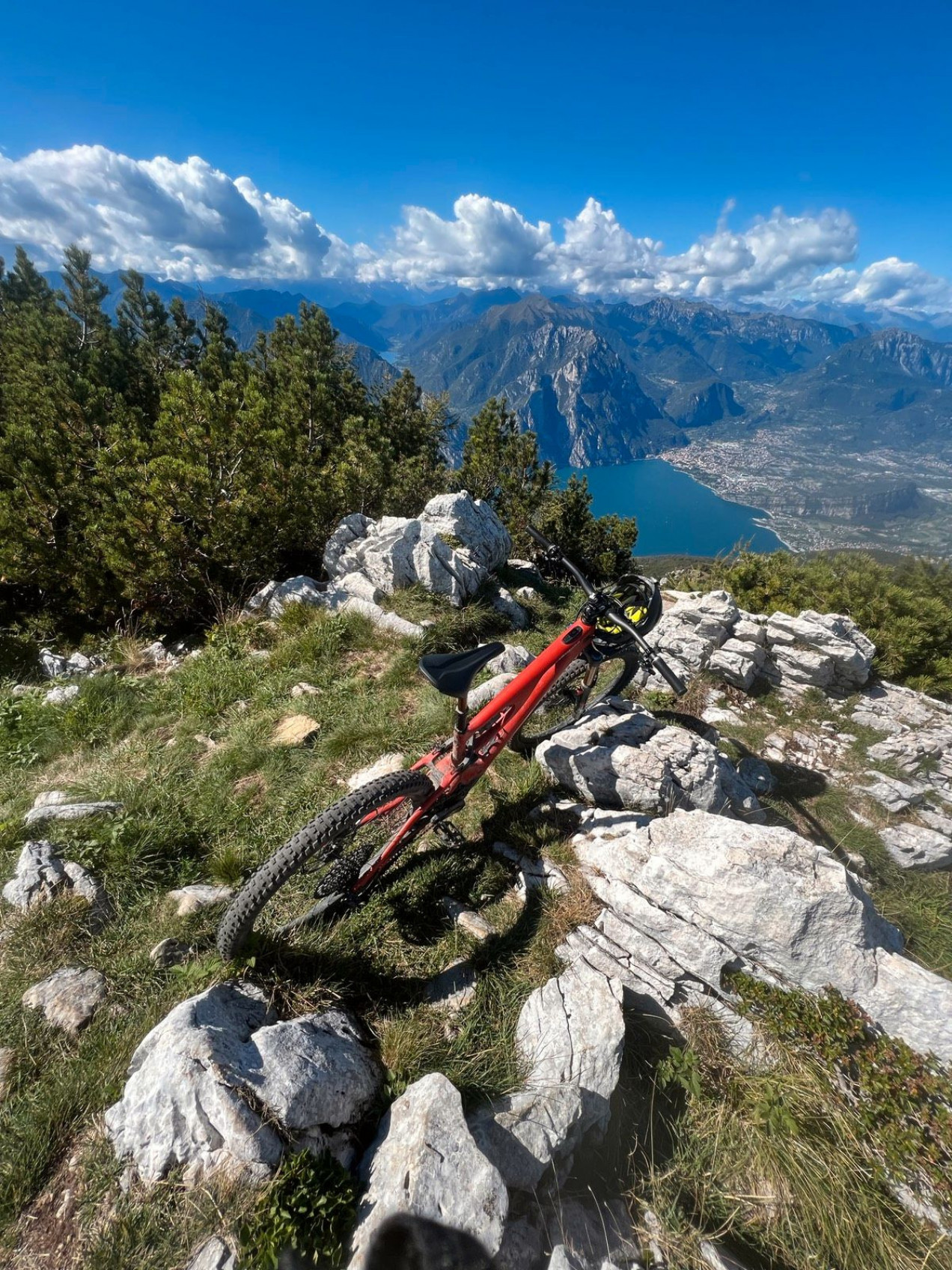 eroica bikes for sale