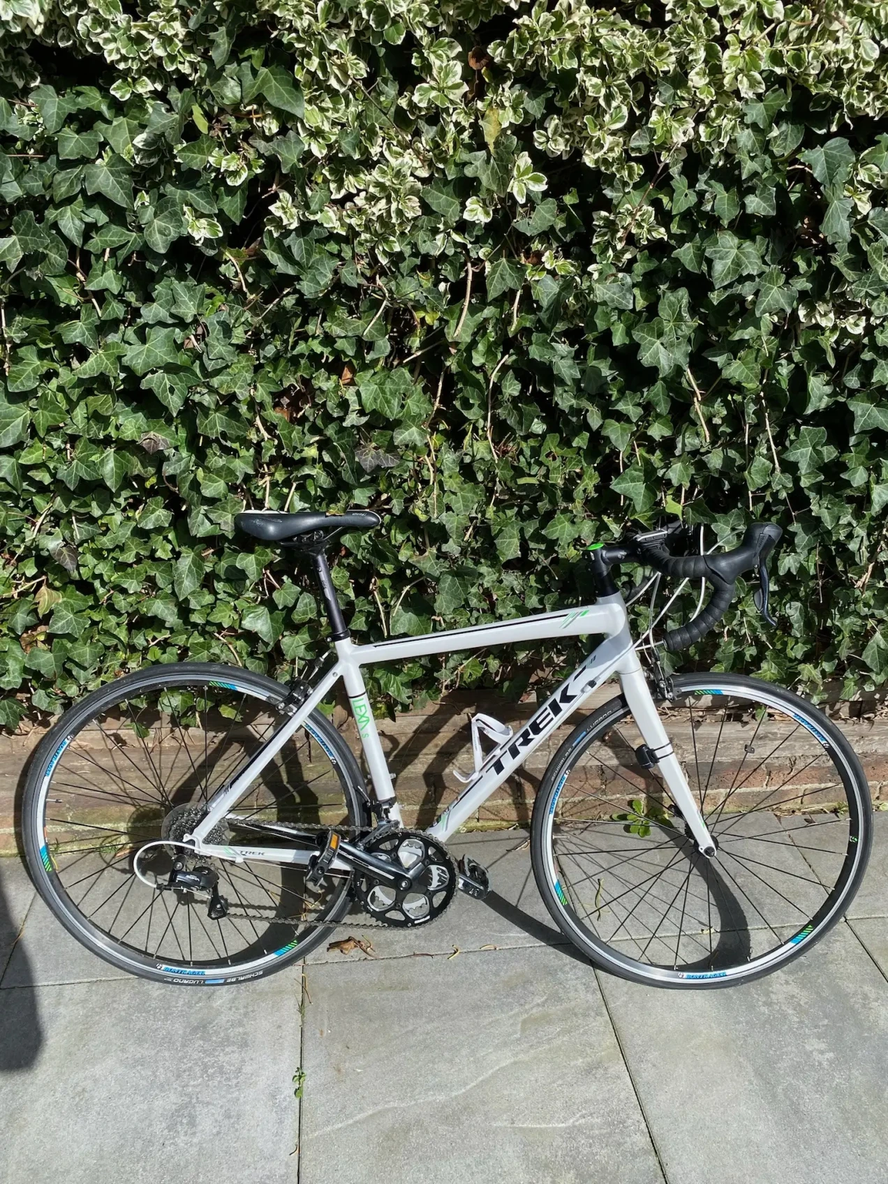 trek lexa for sale