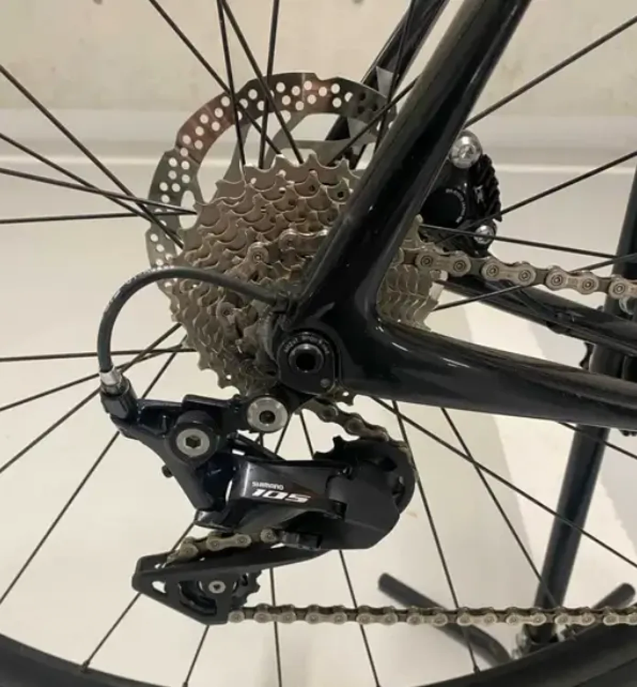 synapse carbon disc 105 2019