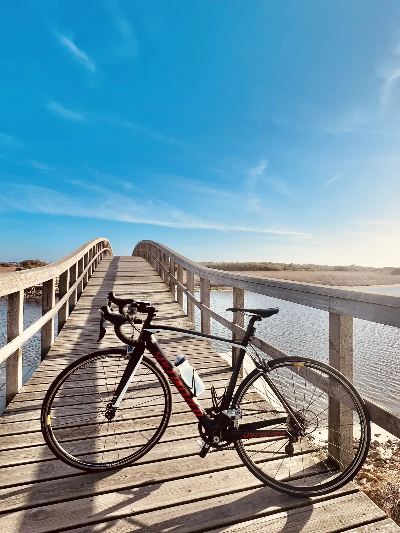 Specialized Tarmac Sport used in M buycycle