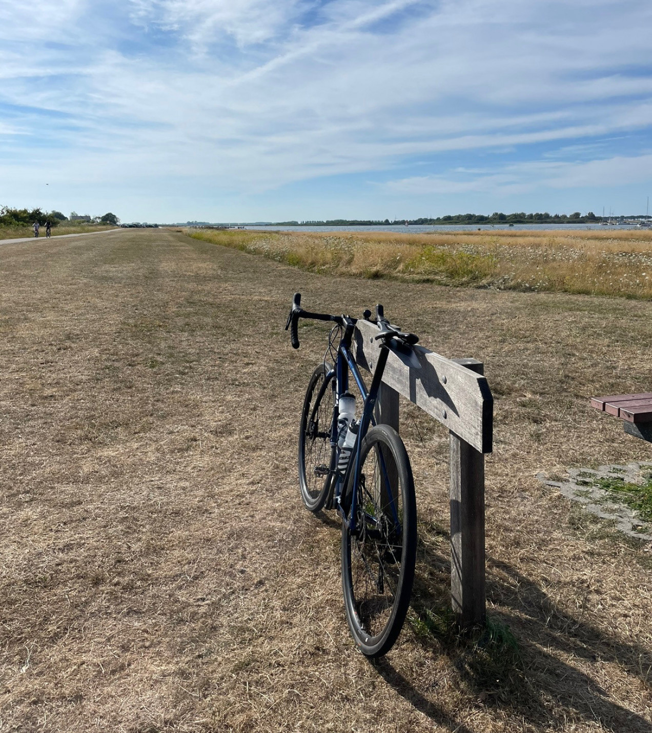 sports bicycle for adults