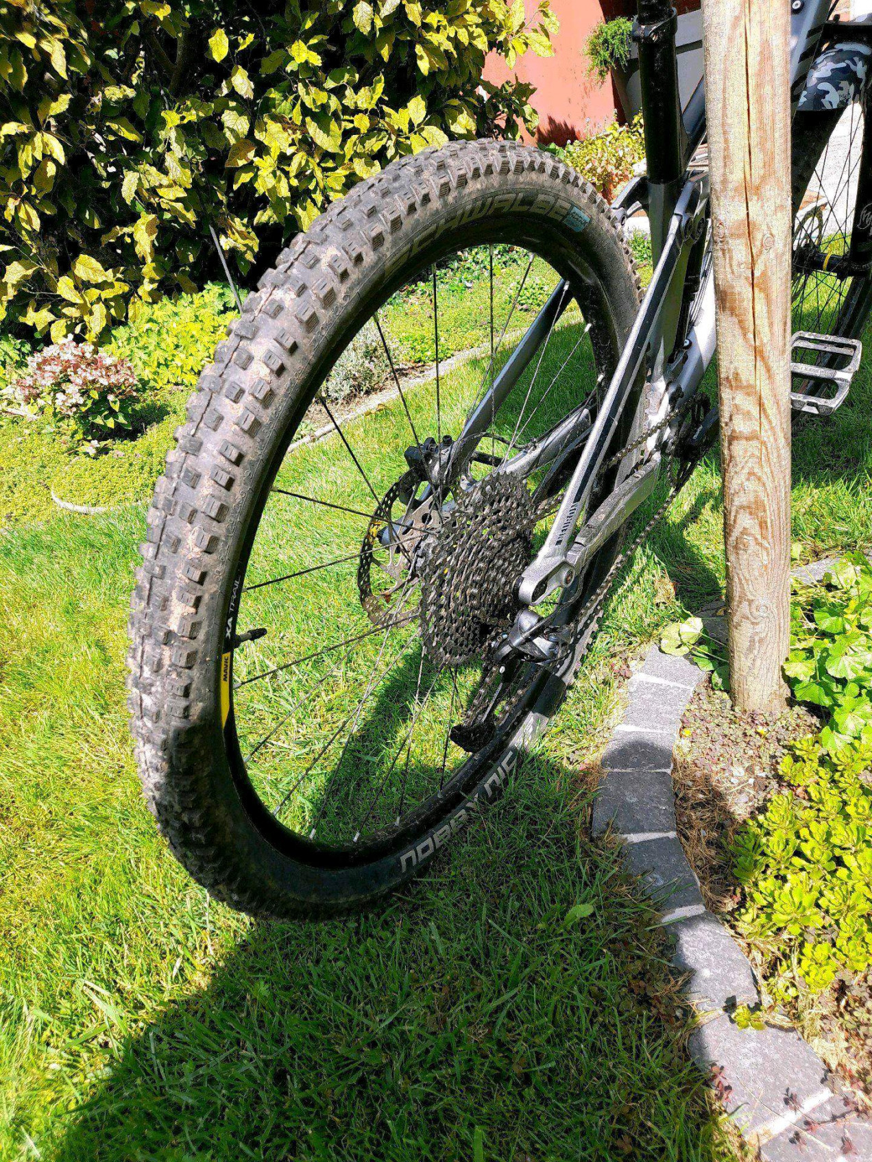 focus izalco chrono max 2.0