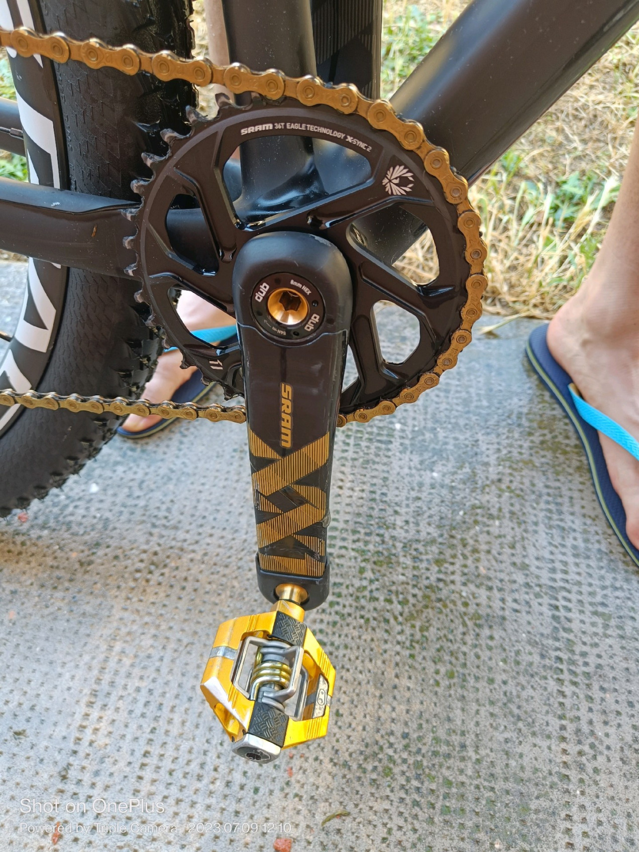 specialized epic hardtail pro 2019