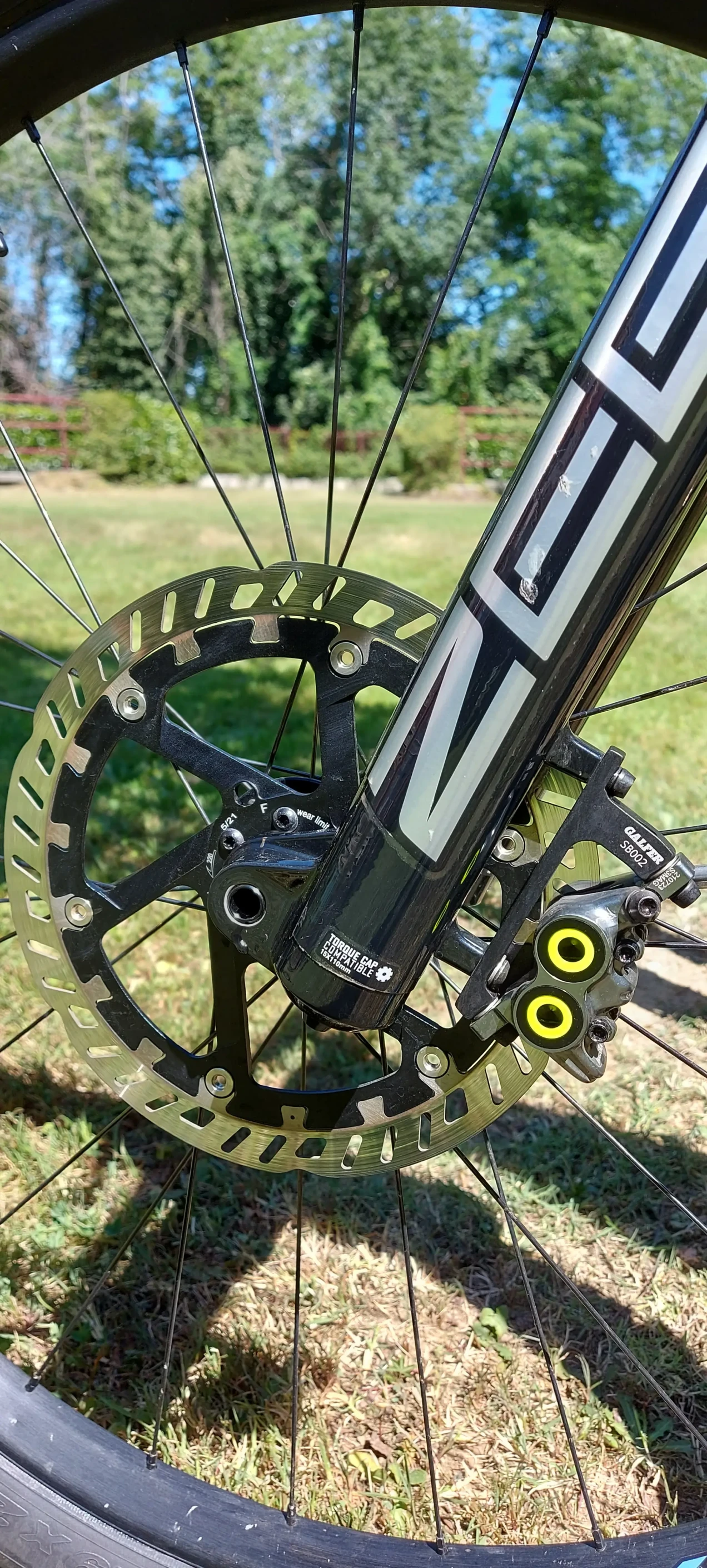 levo comp carbon 2019