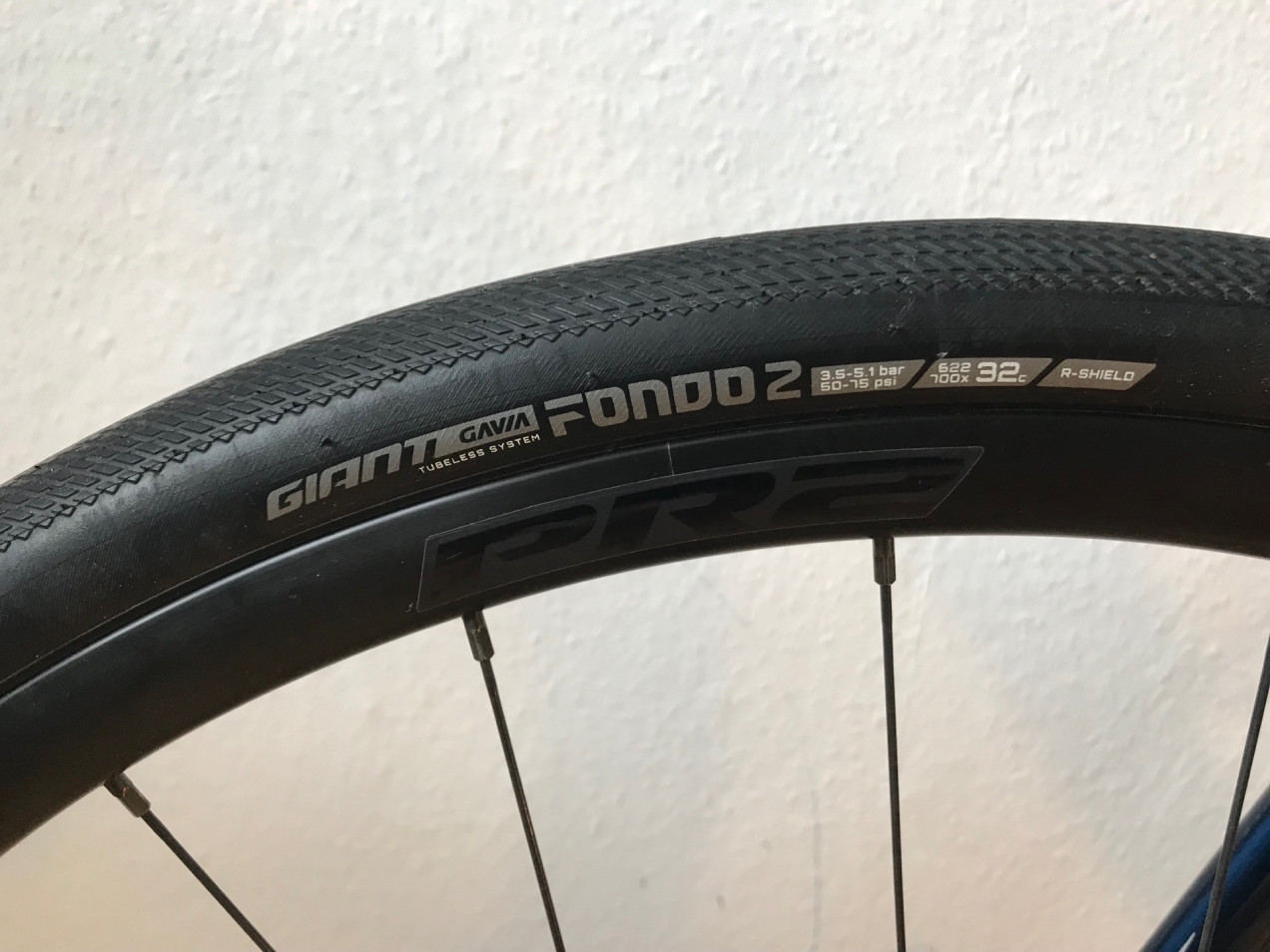 giant contend ar 1 2021 test