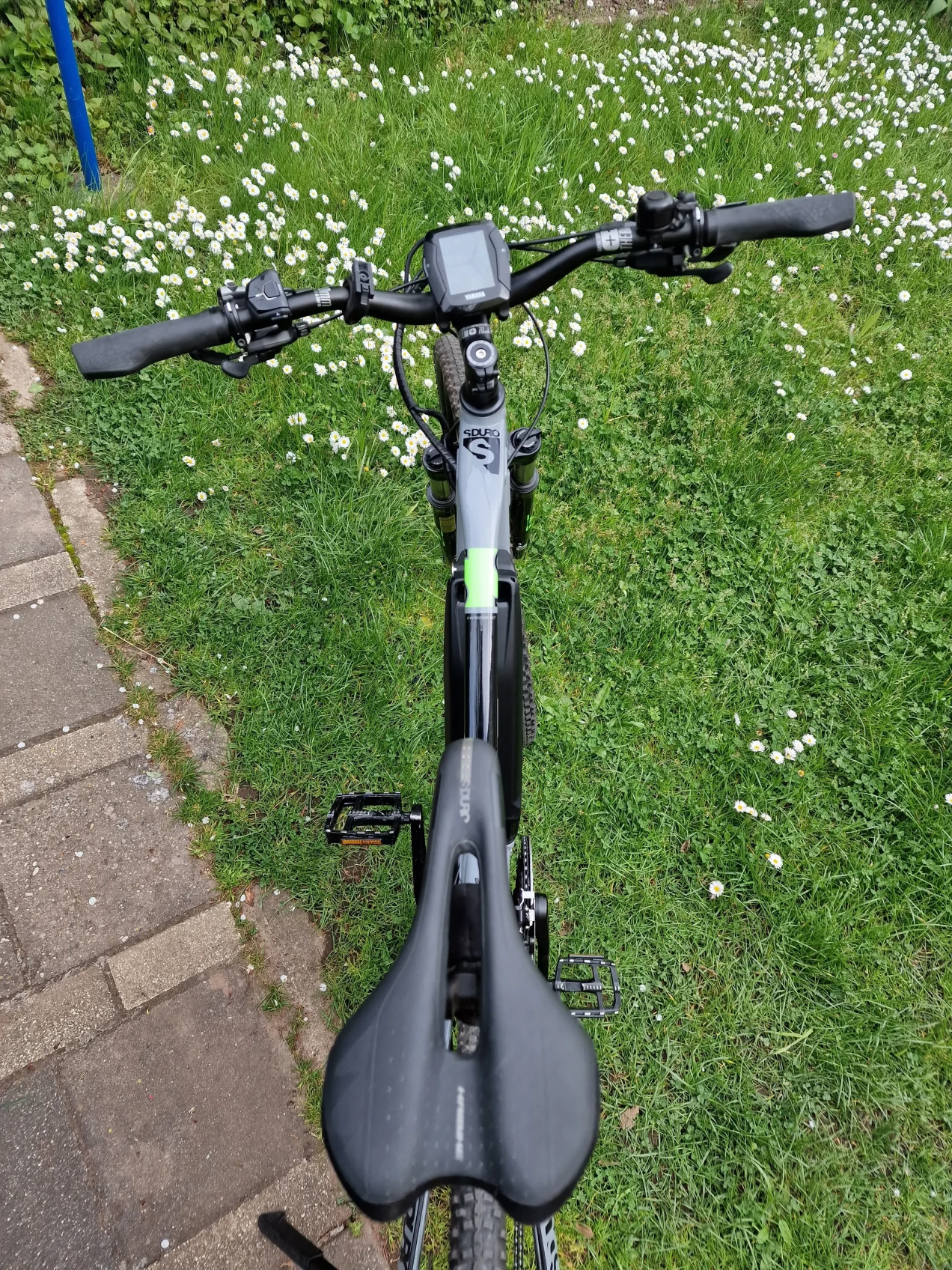 thule bike rack back of car