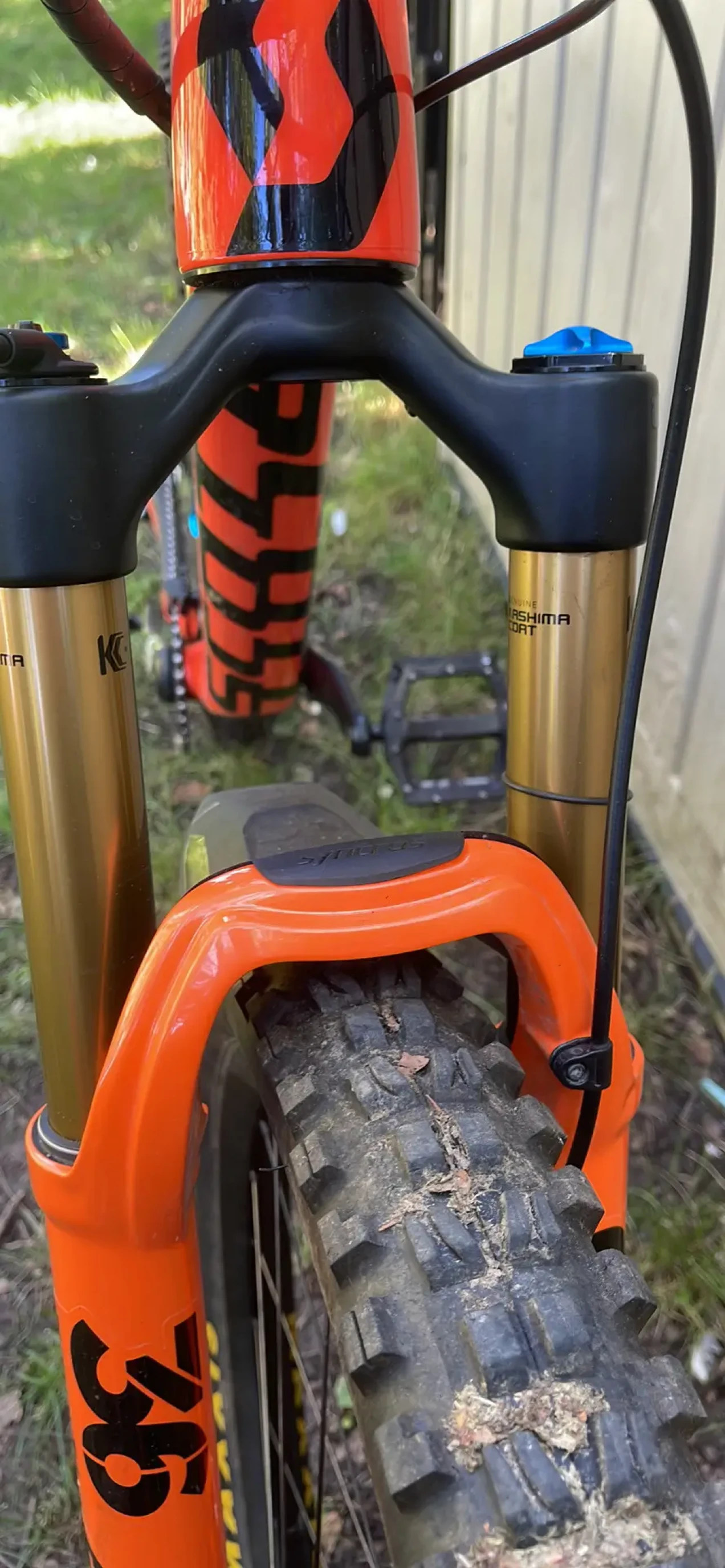 scott genius 900 ultimate 2019