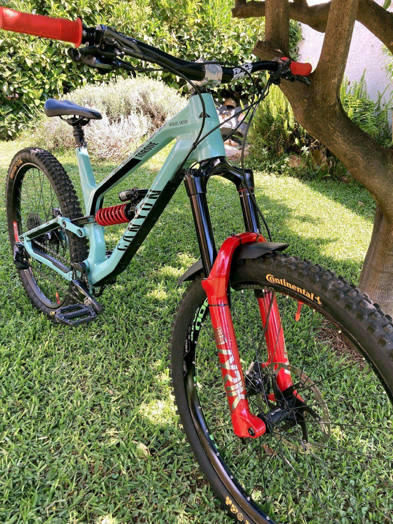 Canyon Torque 7 used in l | buycycle