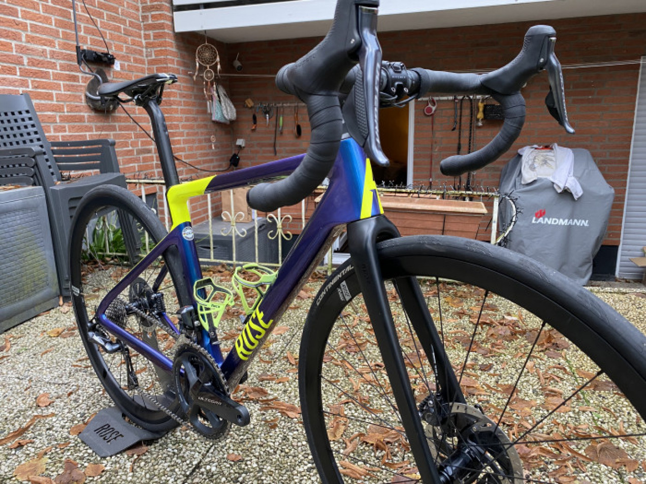 rose reveal four disc