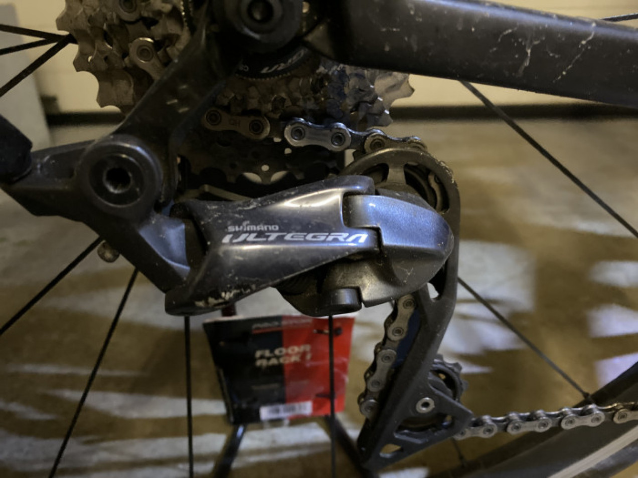 dual action recumbent exercise bike