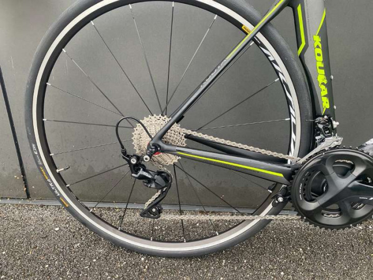 kuota kougar 2018