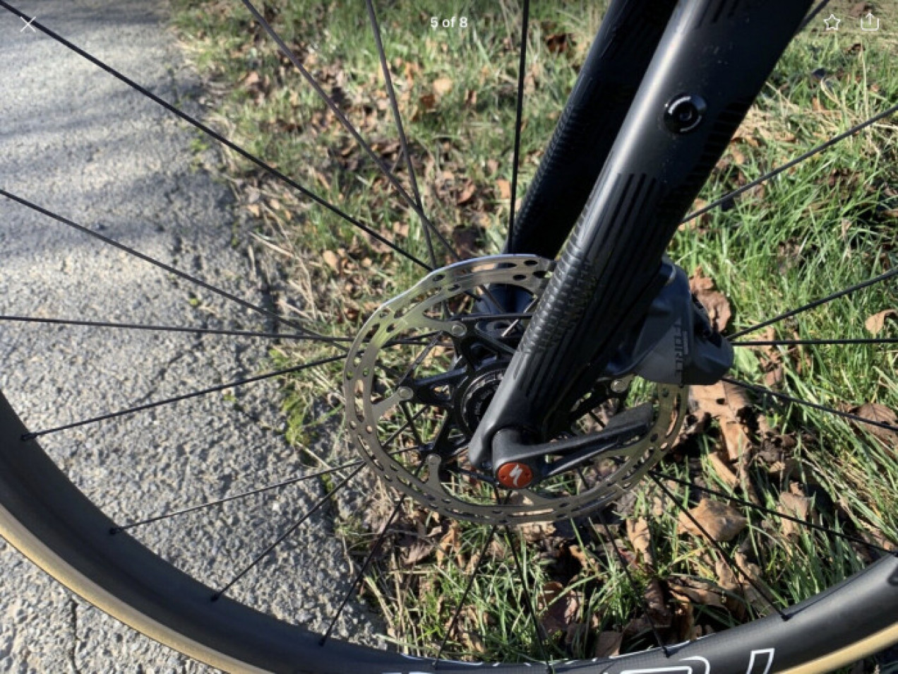 2020 s works diverge