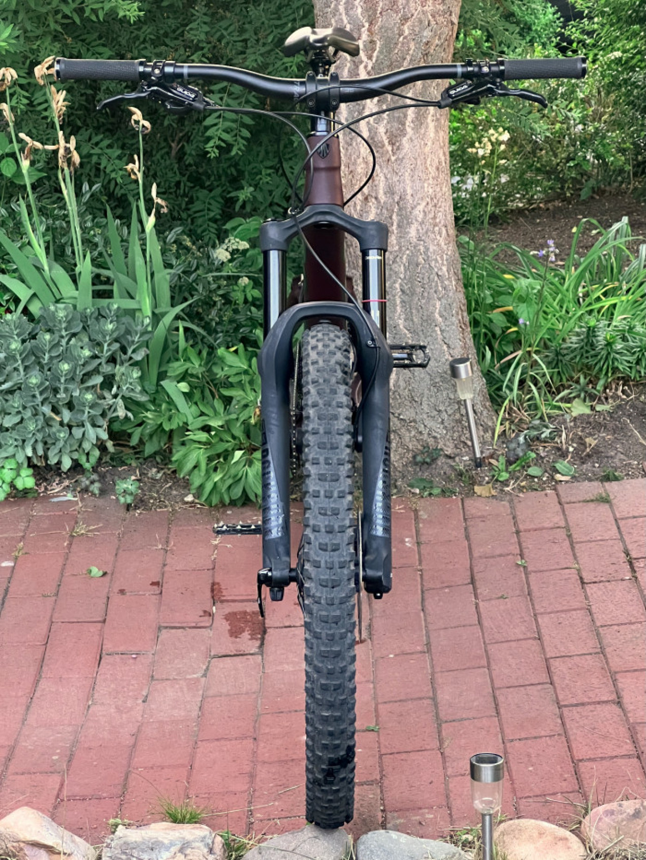 trek remedy 9.8 2019