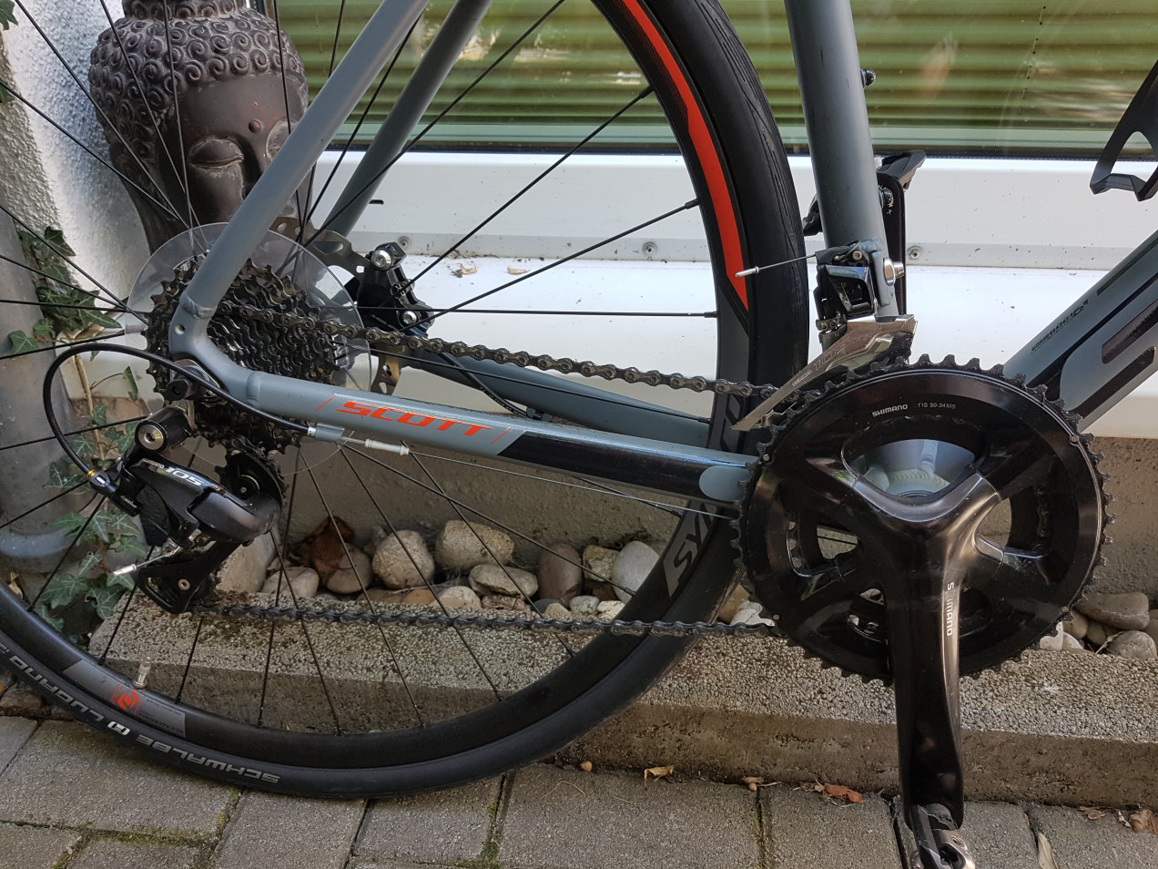 scott speedster 2019