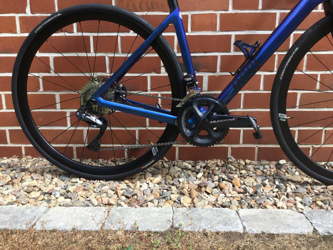 rose reveal four disc