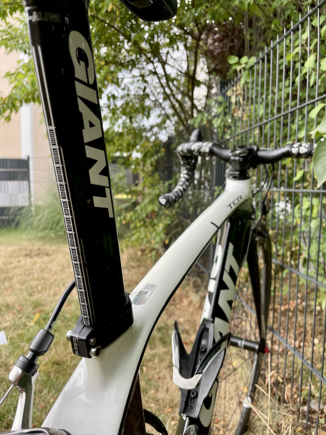 giant tcr advanced sl review