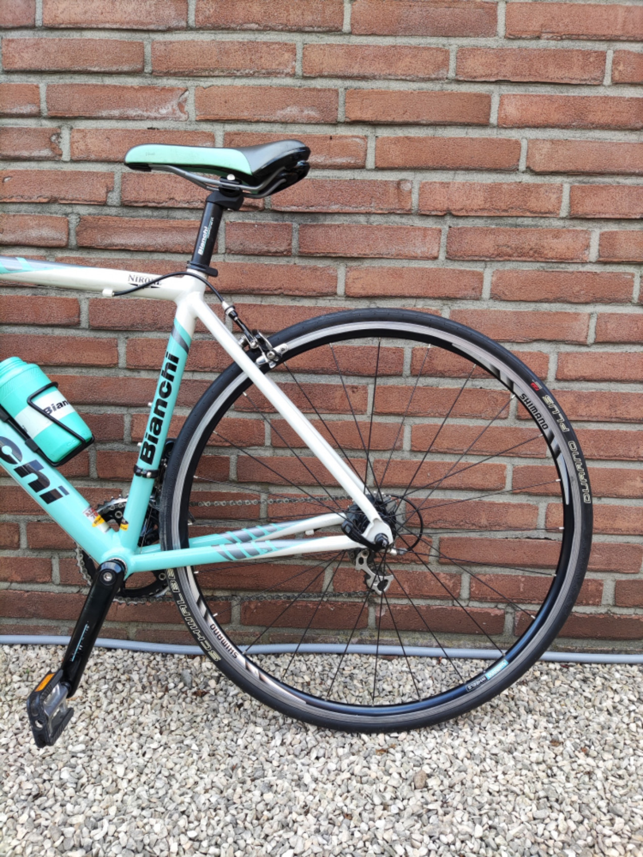 bianchi nirone sora