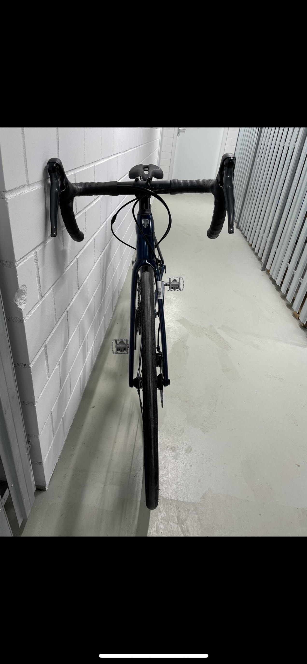 trek domane al2