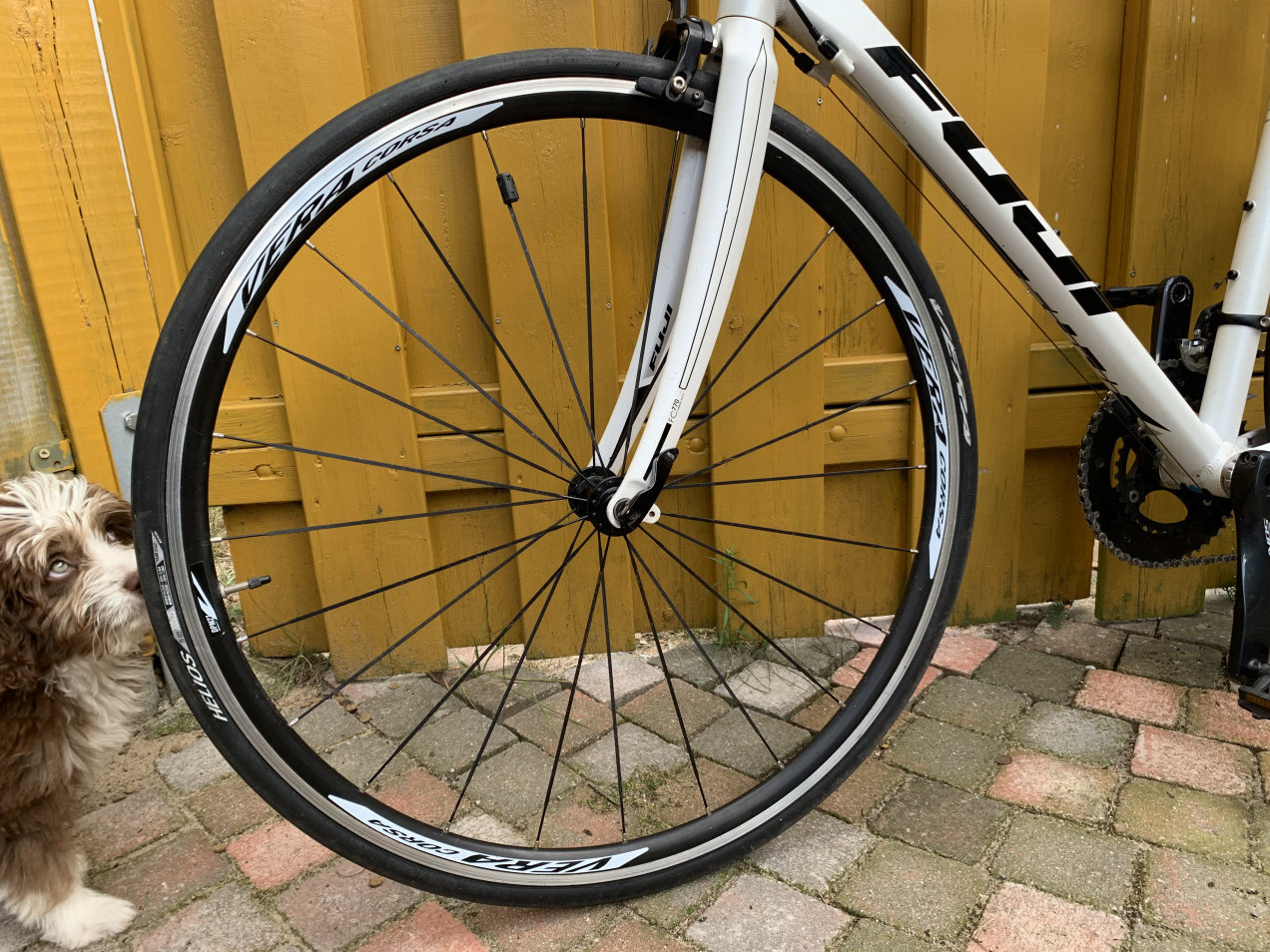 fuji sportif 1.7 price