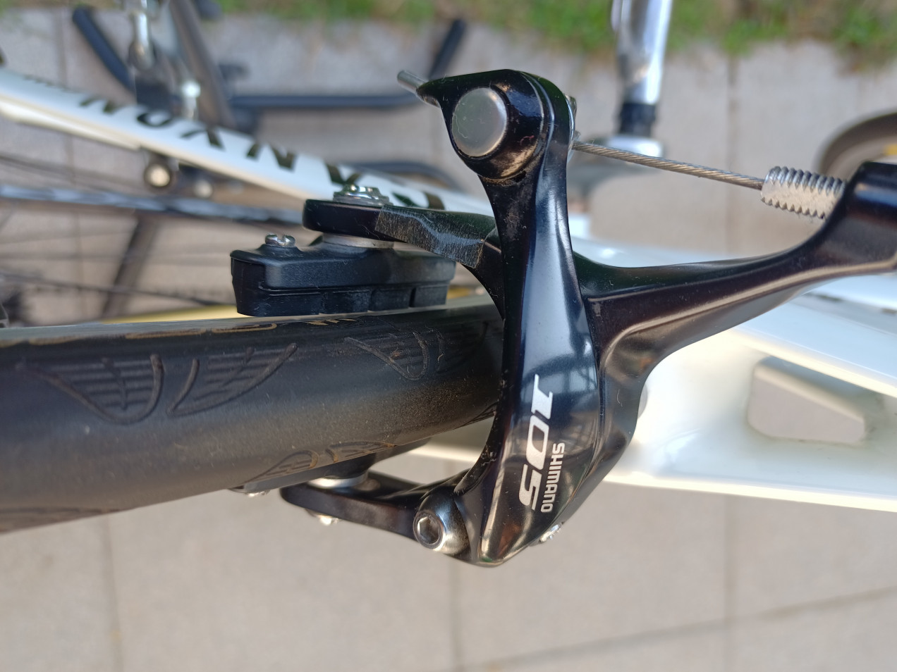 ebay canyon speedmax