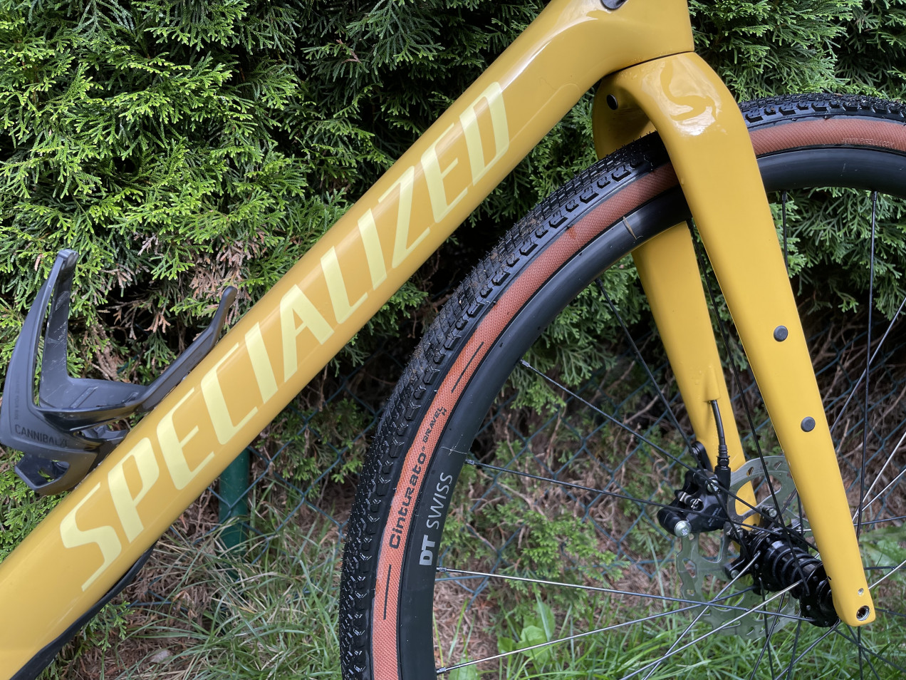 diverge sport carbon