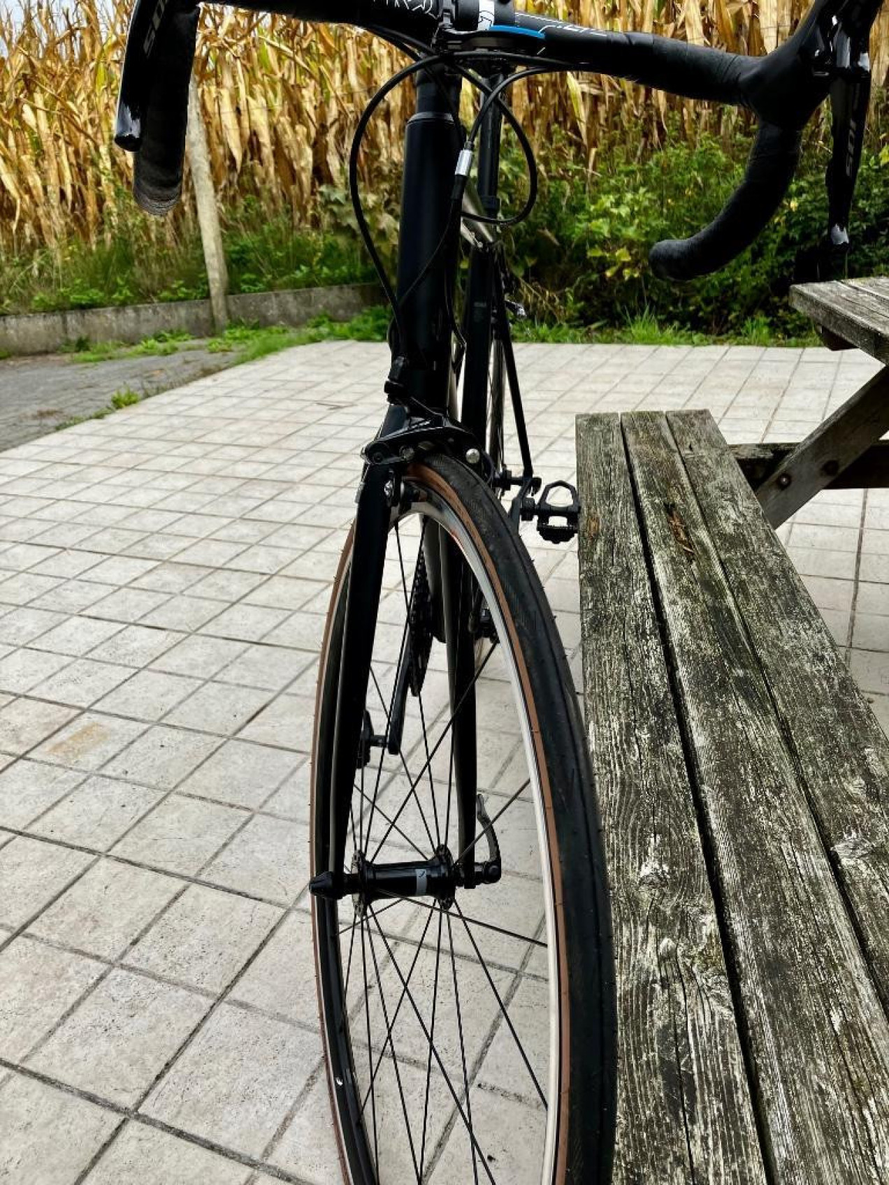 canyon endurace woman