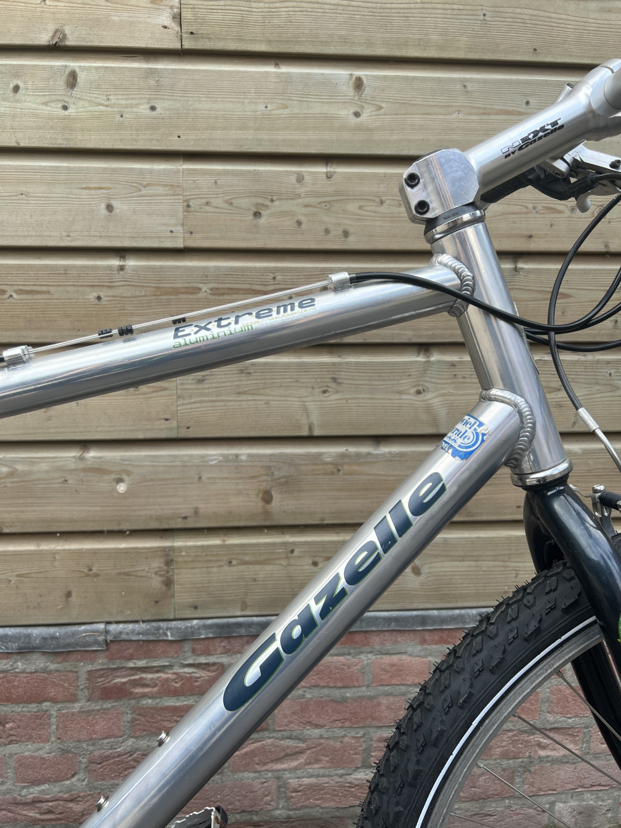 Plicht industrie Voldoen Gazelle Extreme used in 56 cm | buycycle