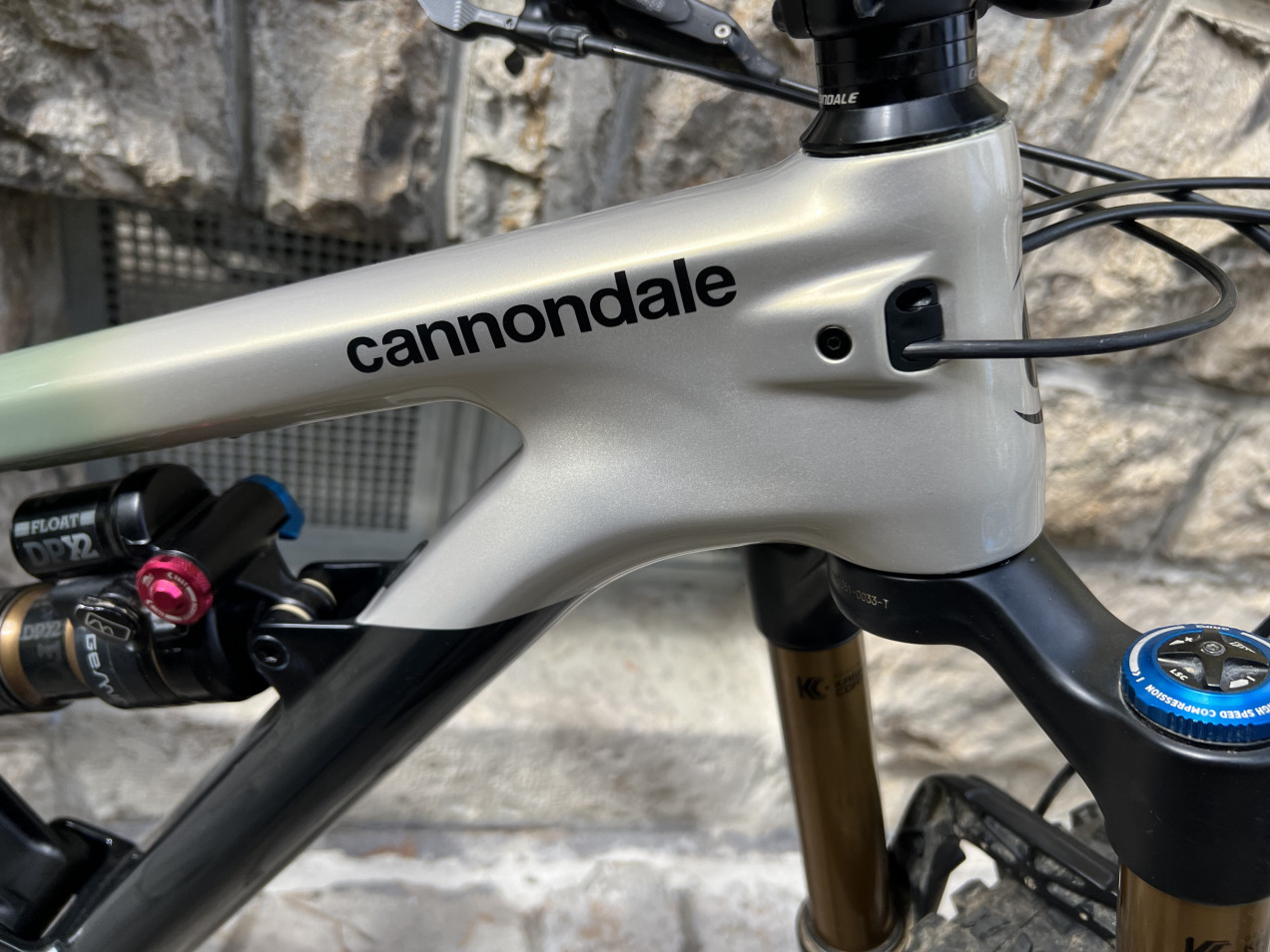 Cannondale - Jekyll Carbon 29 1, 2021