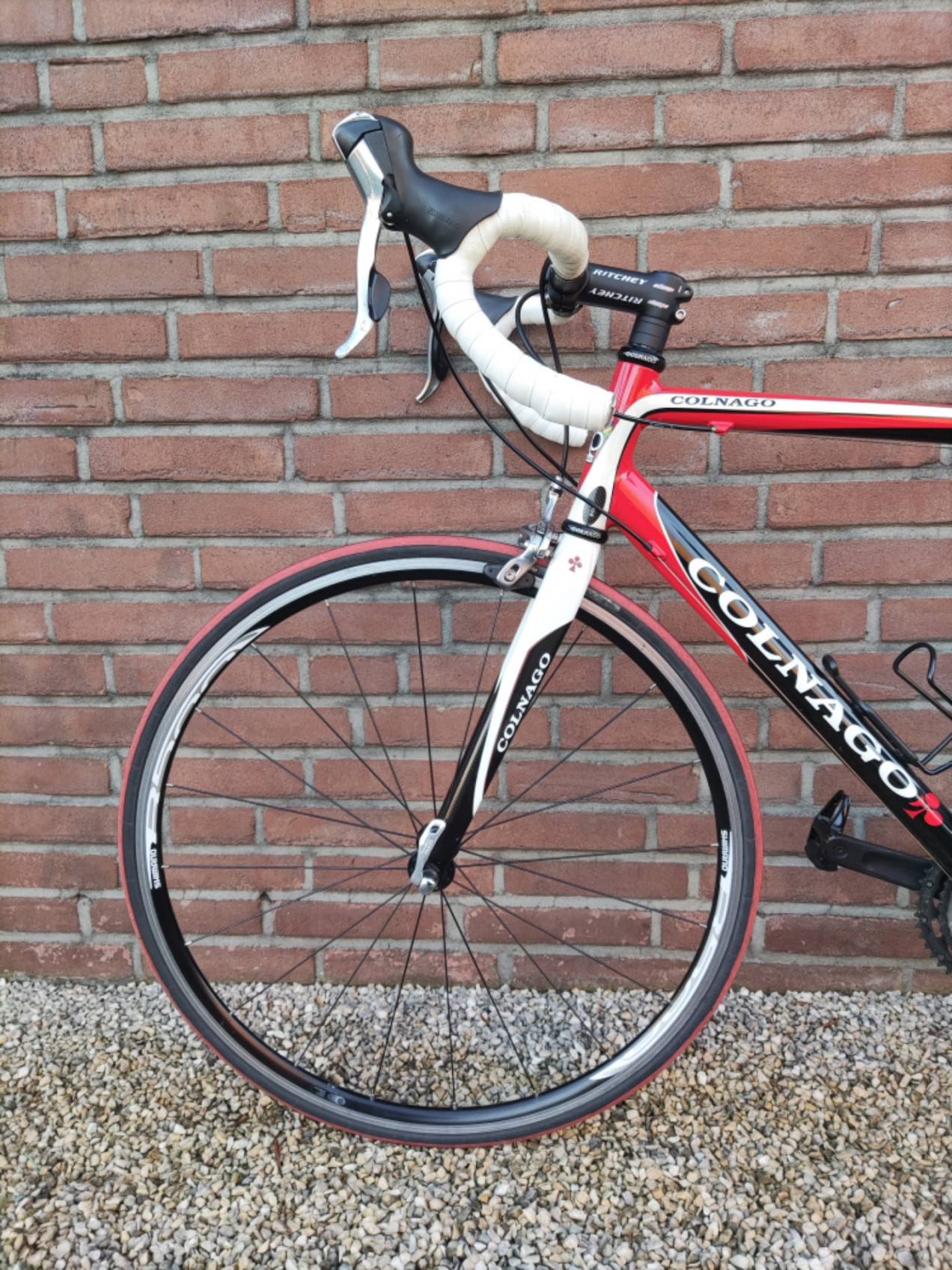 Colnago Primavera used in 53 cm | buycycle