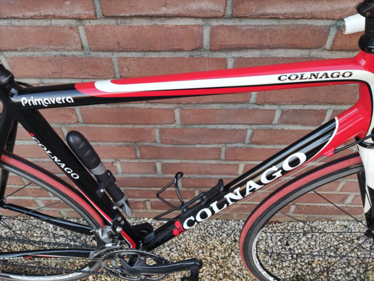 Colnago Primavera used in 53 cm | buycycle