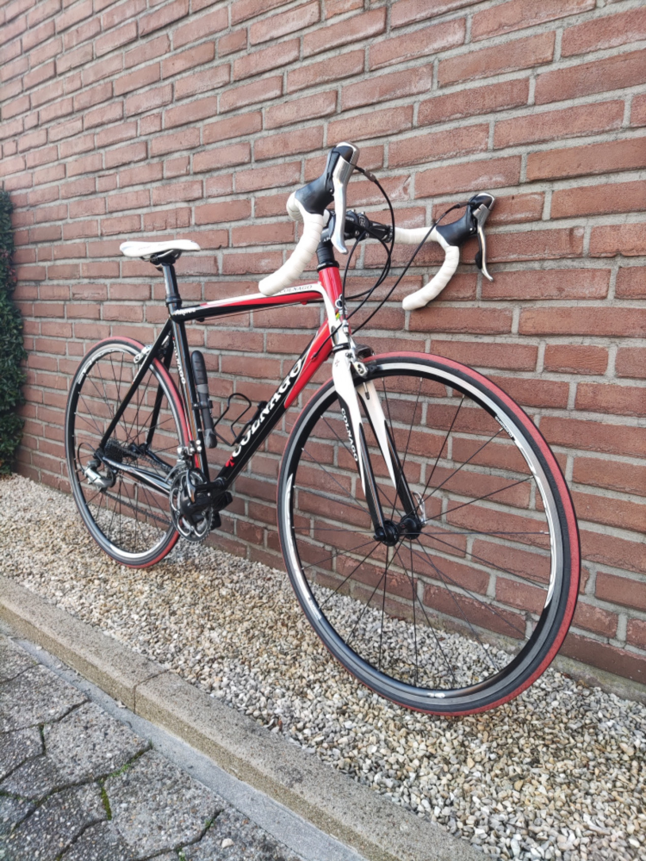 Colnago Primavera used in 53 cm | buycycle