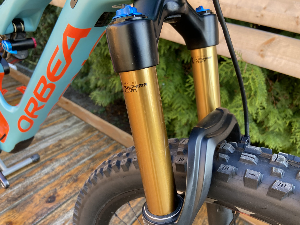 Orbea OCCAM used in L buycycle