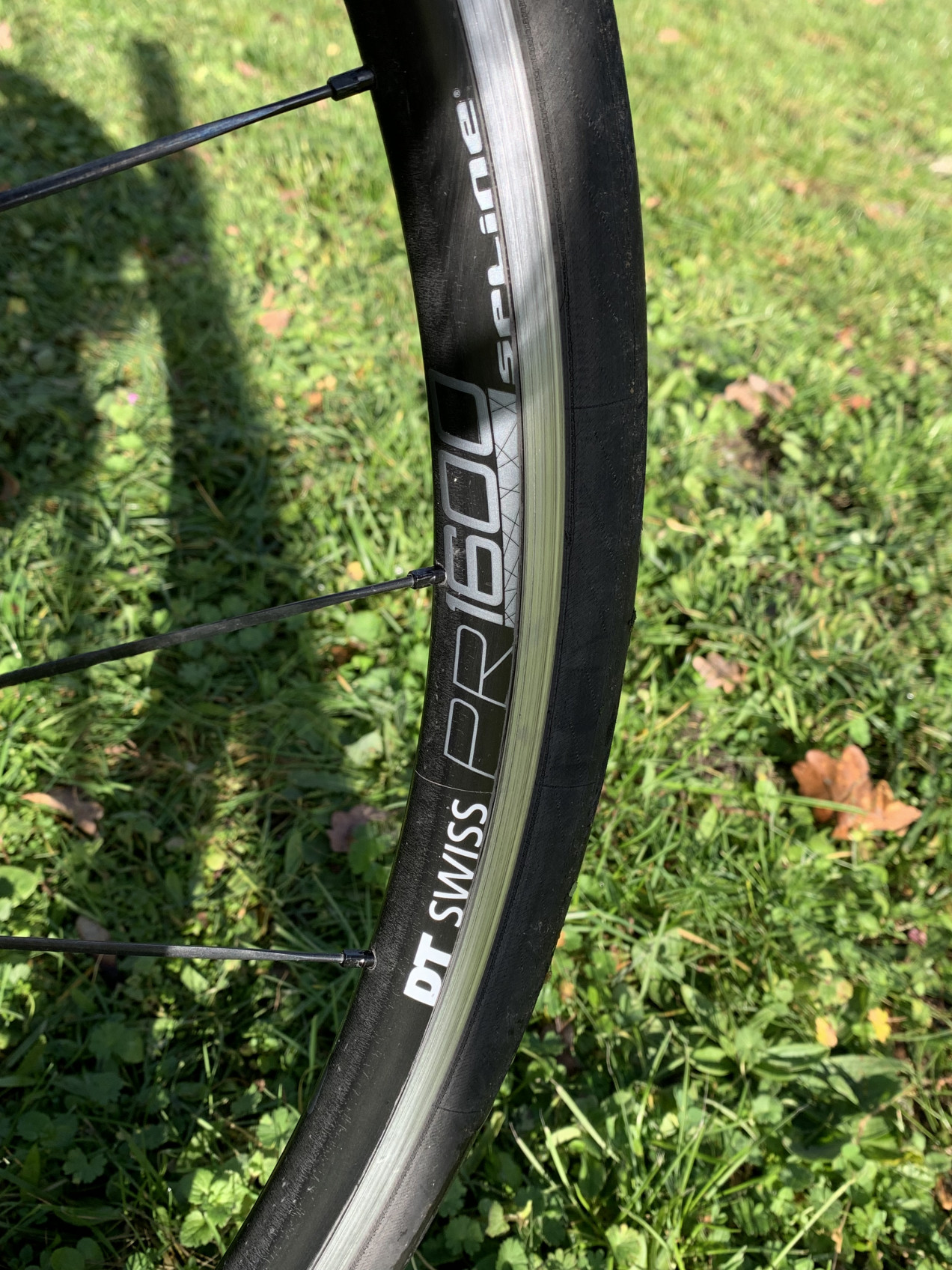 argon 18 krypton 2016