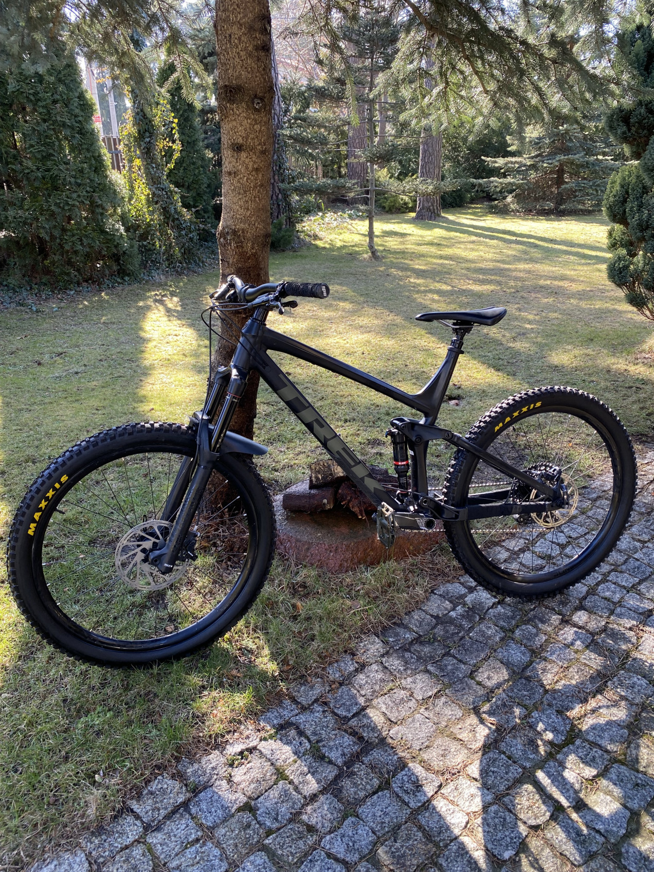 trek remedy 9.8 2019