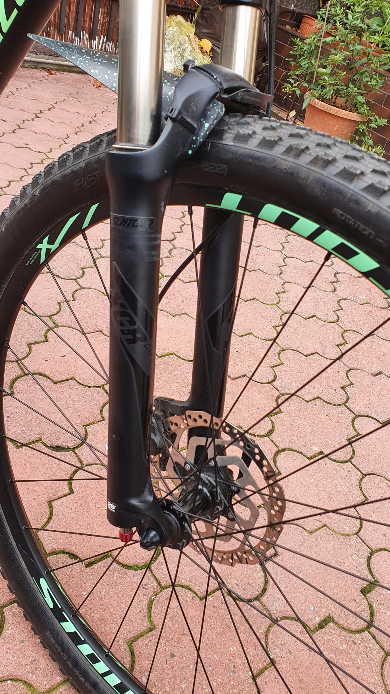 specialized men's rockhopper expert 2019