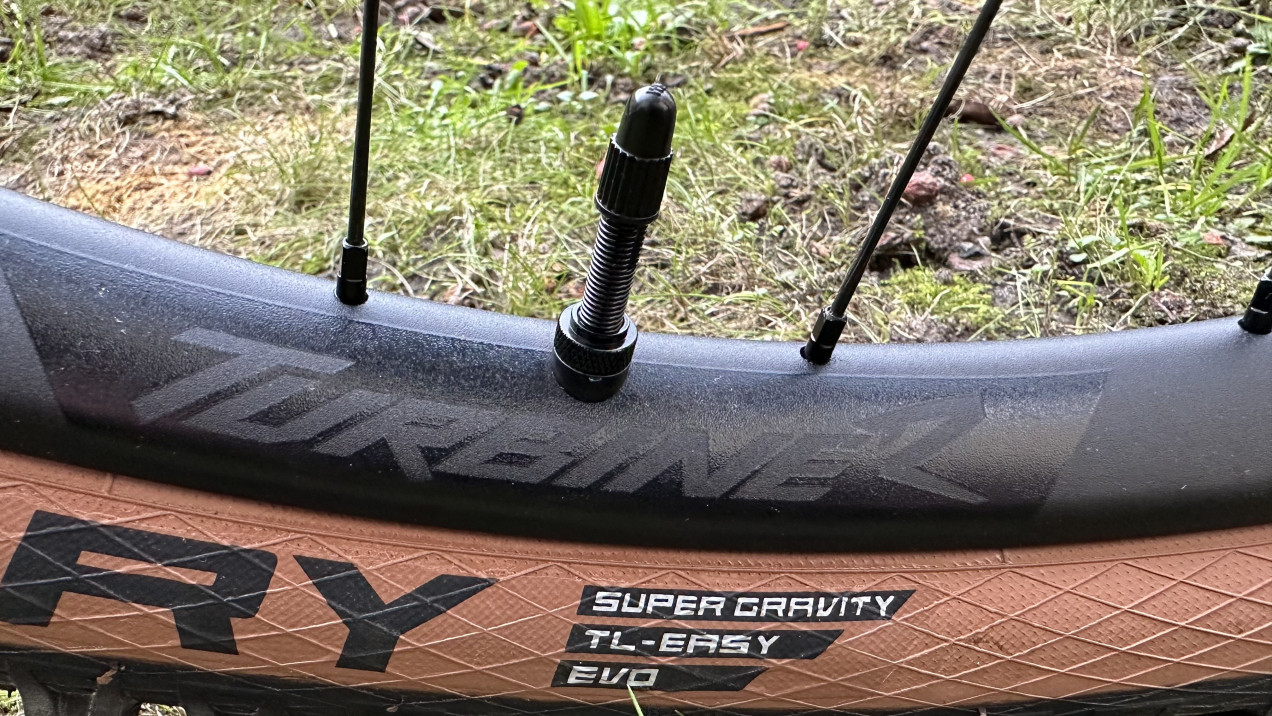 specialized stumpjumper evo 2019