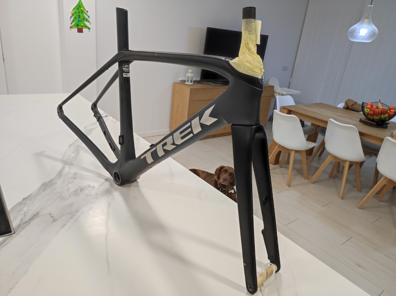 domane slr disc frameset