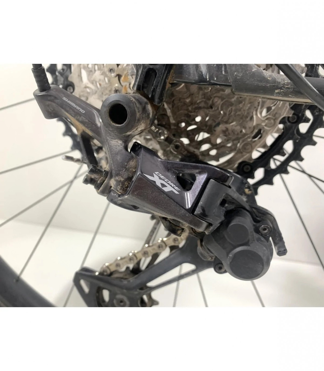 bicycle rear kickstand