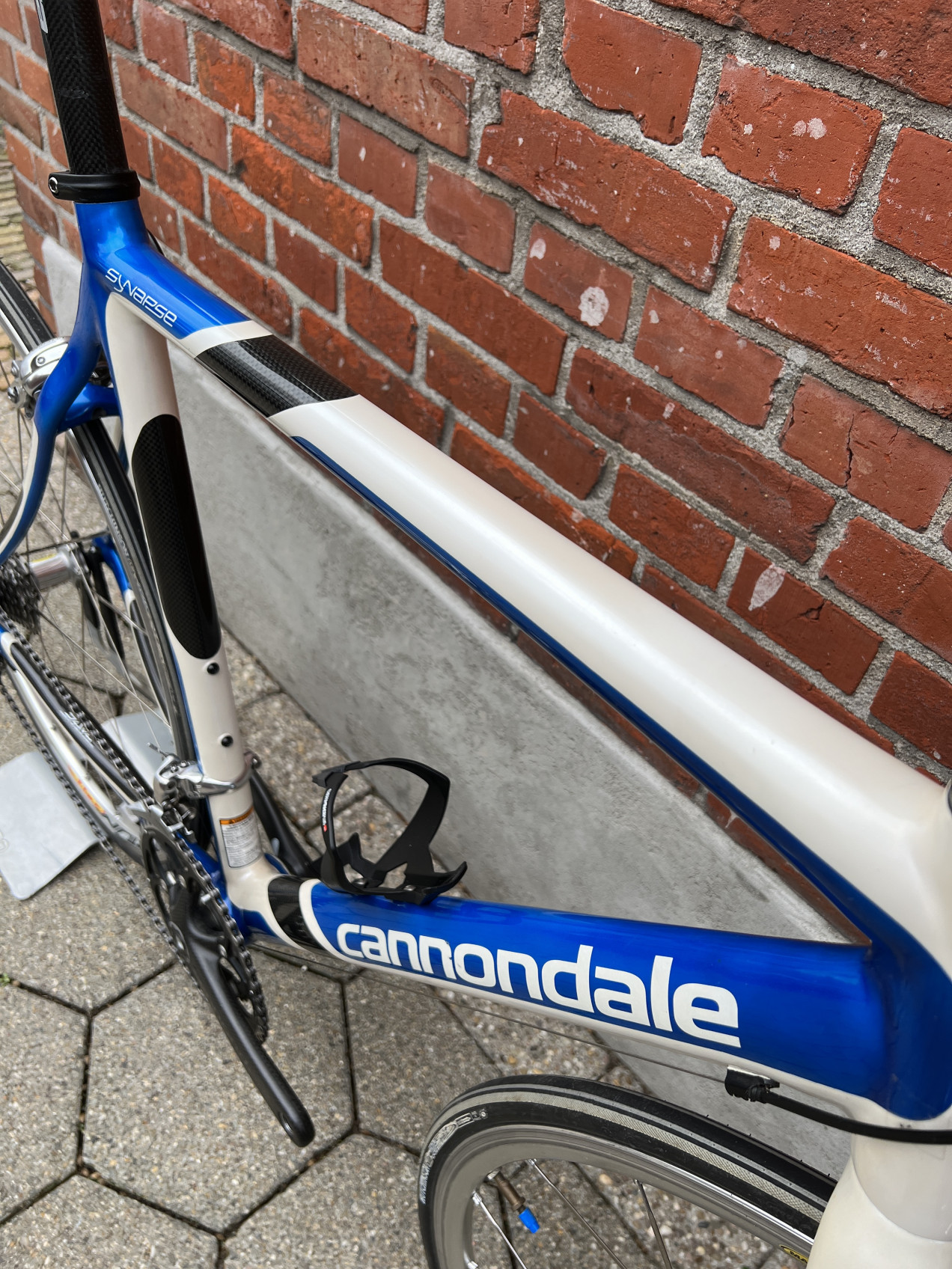 cannondale synapse harga