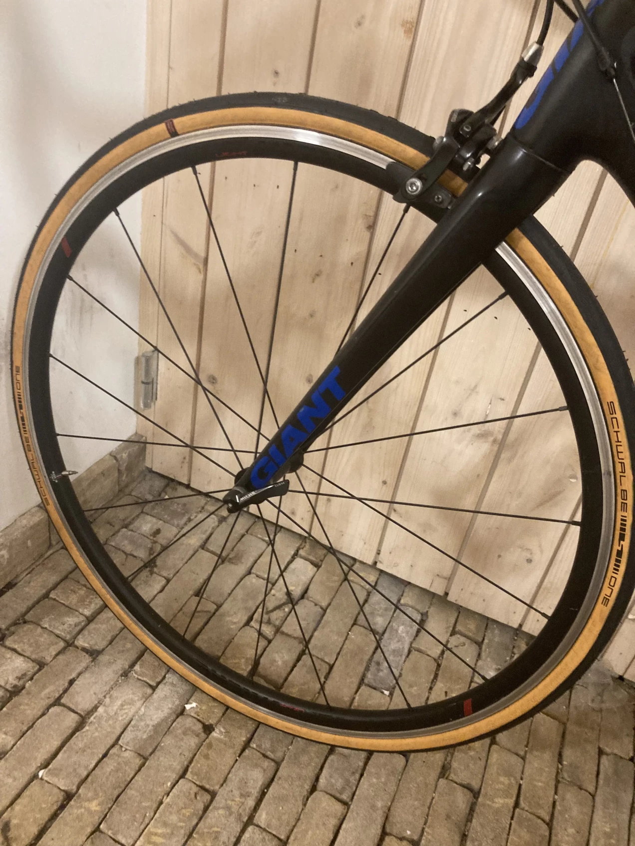 giant tcr composite 1