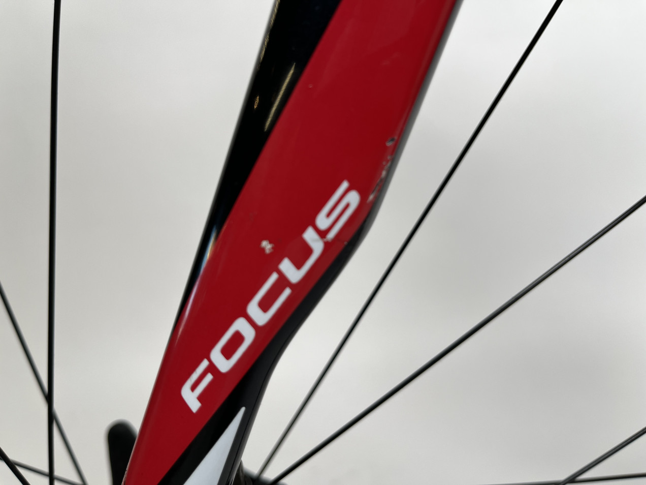 focus paralane ultegra 2018