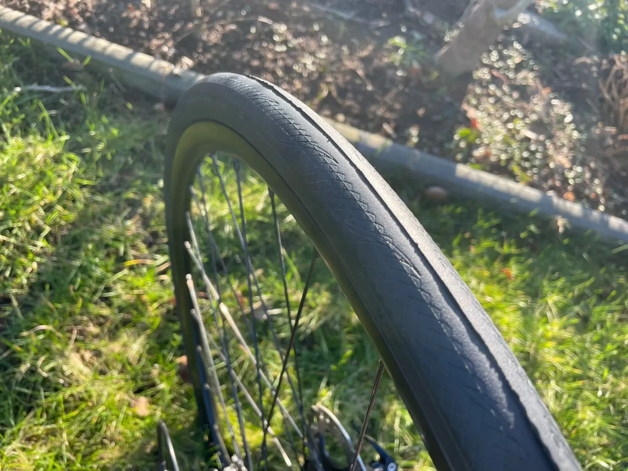 focus cayo ultegra disc