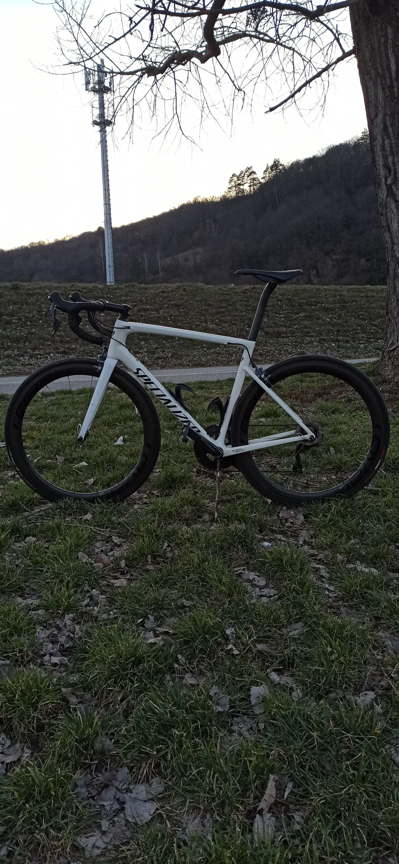 specialized tarmac expert sl6 2019